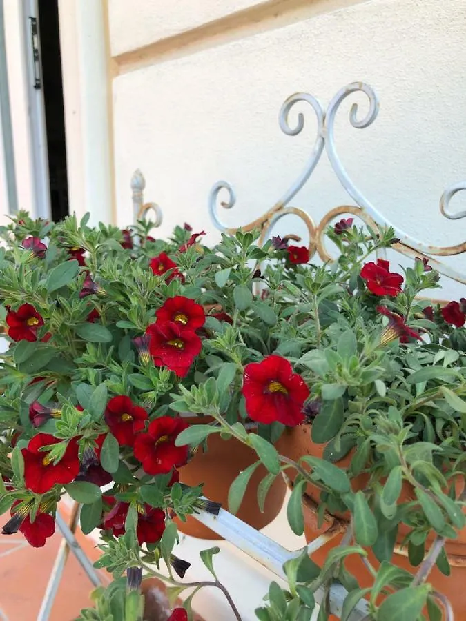 B & B Da Ferro Massarosa Nocleg ze śniadaniem